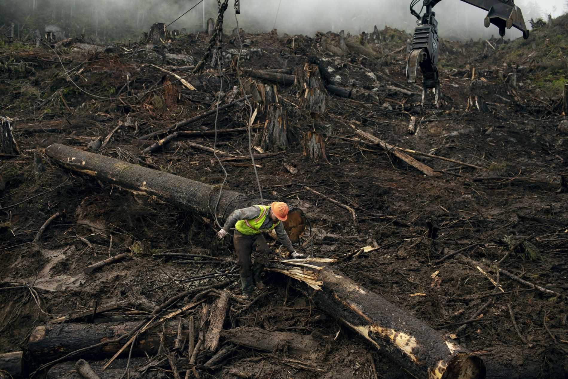 ¿El pacto global de la COP26 podrá frenar la deforestación?